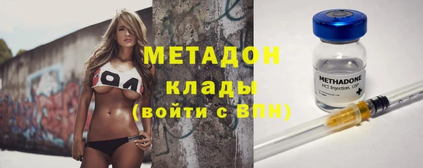 сатива Новозыбков