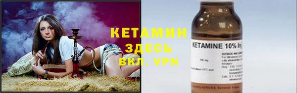 сатива Новозыбков