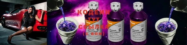 сатива Новозыбков