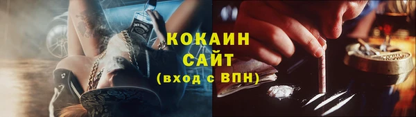 сатива Новозыбков