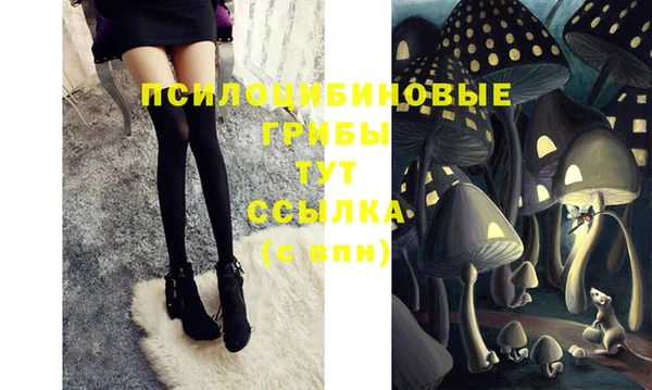 каннабис Новодвинск