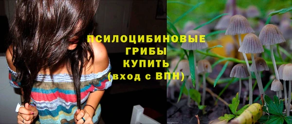 ГАЛЛЮЦИНОГЕННЫЕ ГРИБЫ Нягань