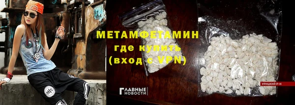сатива Новозыбков