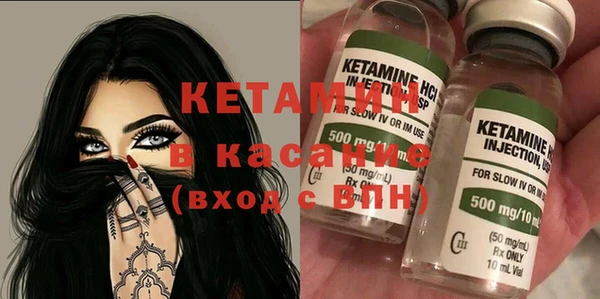 сатива Новозыбков