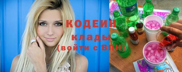 винт Няндома
